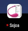 설치 후 아이콘, 악성코드 분석 보고서, Sxjoa2025.apk
